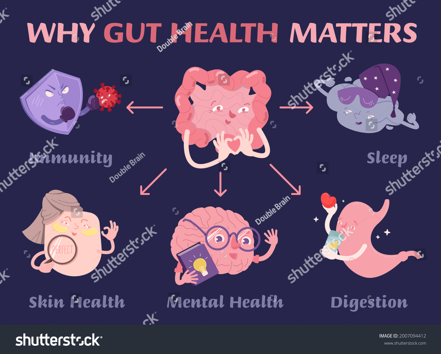 Why Gut Health Matters Scientific Poster Stock Vector Royalty Free