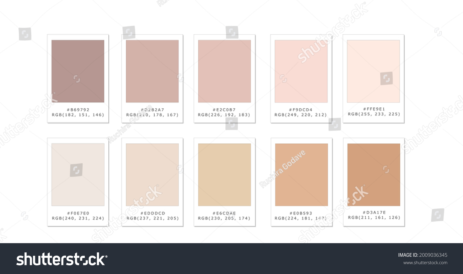 Paleta De Color De Piel Ilustraci N De Stock Shutterstock