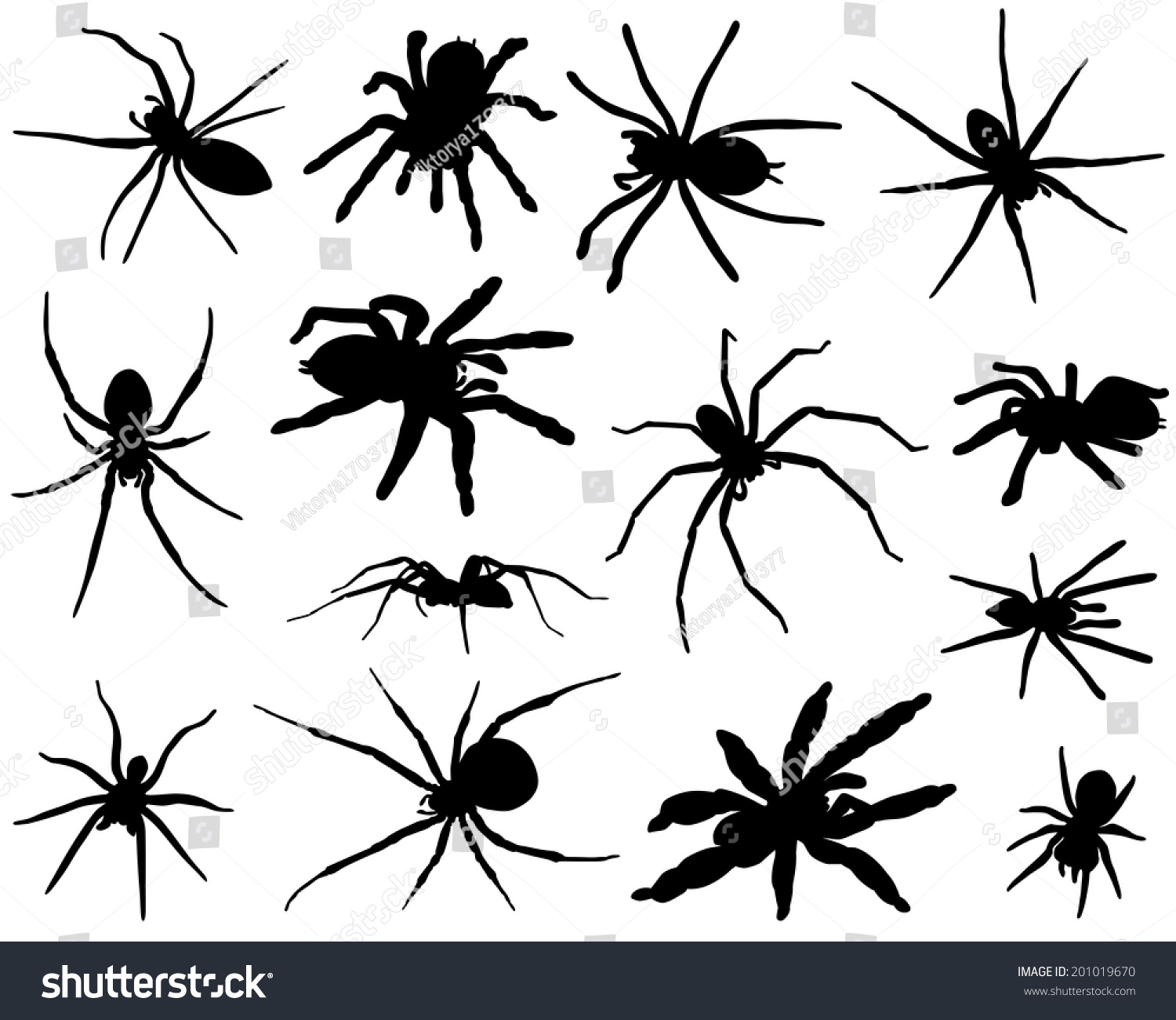 Collection Silhouettes Different Species Spiders Stock Vector Royalty