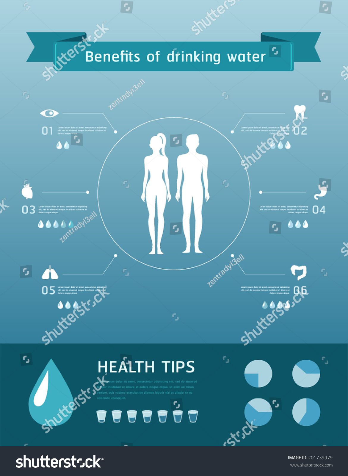 Benefits Drinking Water Infographic Elements Stock Vector Royalty Free