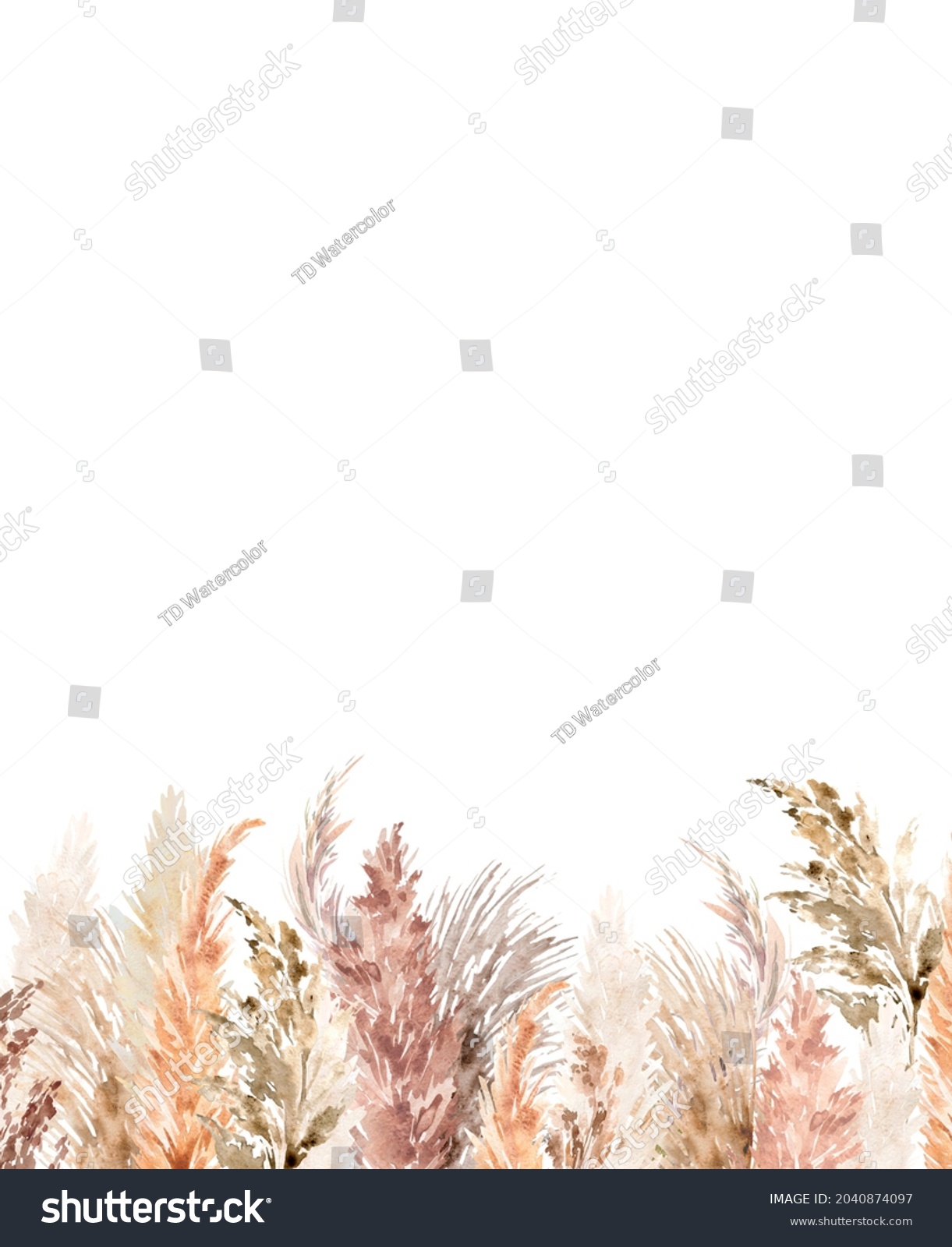 Pampas Grass Border Painted Watercolor Boho Stock Illustration