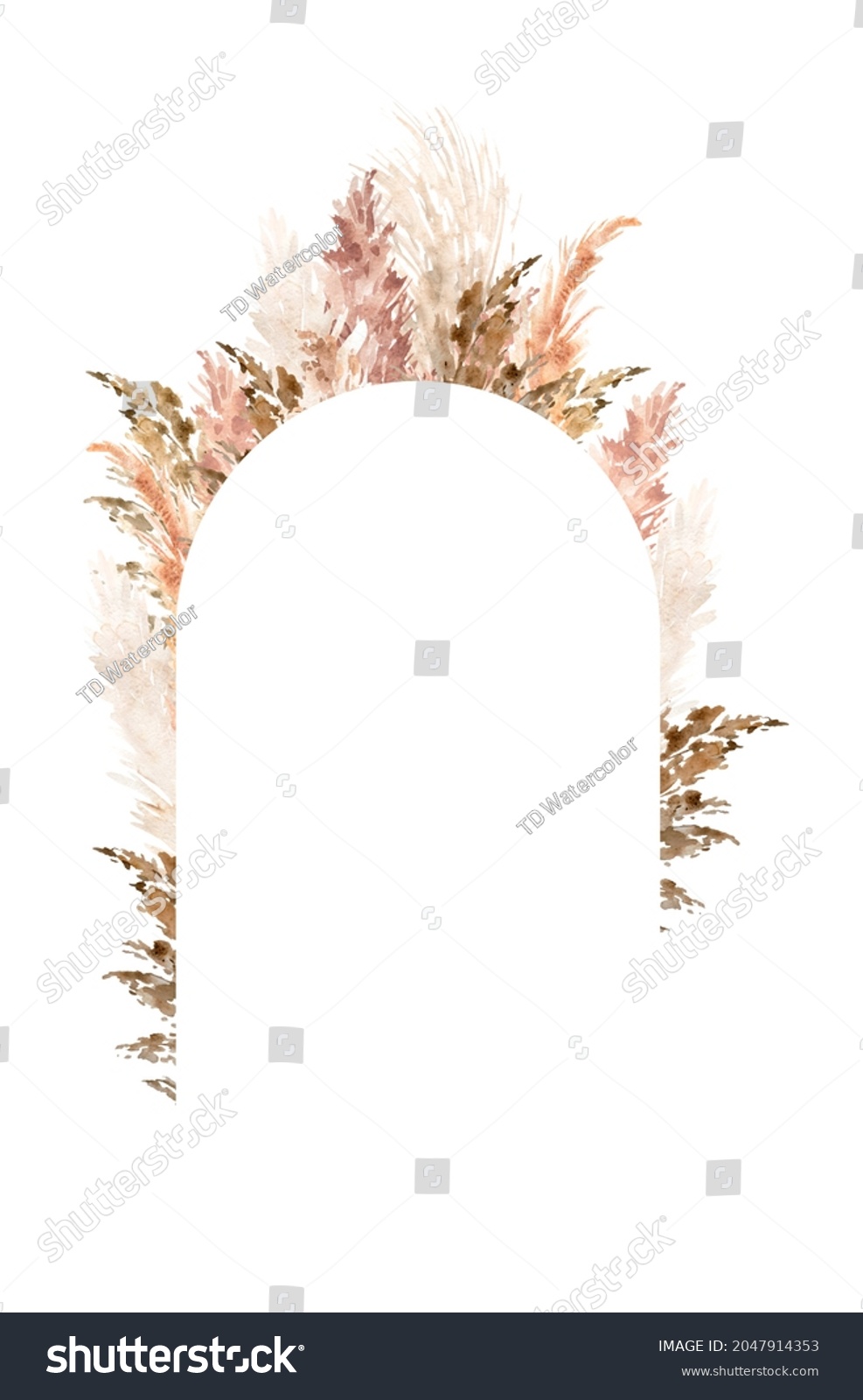 Pampas Grass Border Painted Watercolor Boho 库存插图 2047914353 Shutterstock