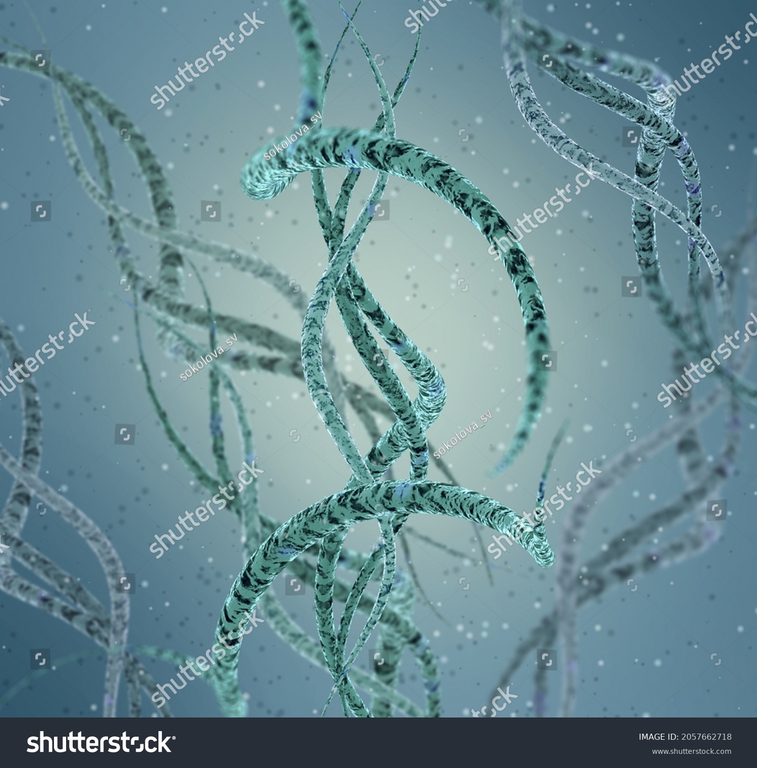 Medical Background Bacteria Spirilla Spirally Twisted Stock