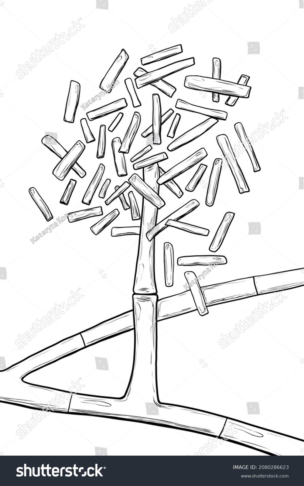 Microscopic Fungi Hormographiella Scientific Illustration Occasionally