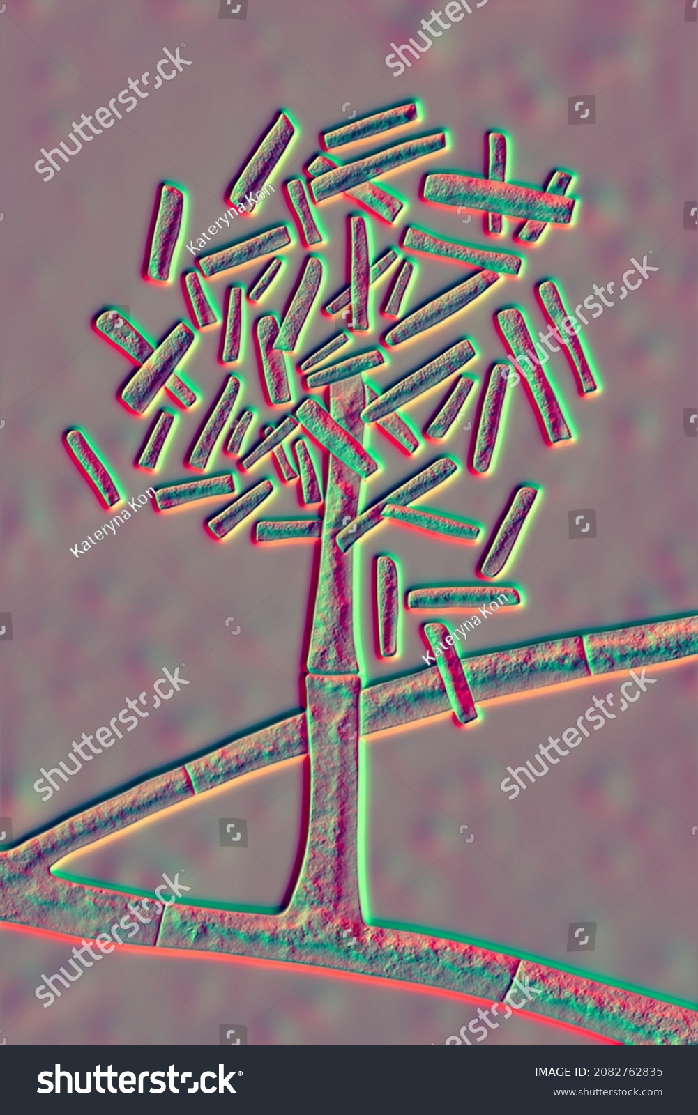 Microscopic Fungi Hormographiella Scientific D Illustration Stock