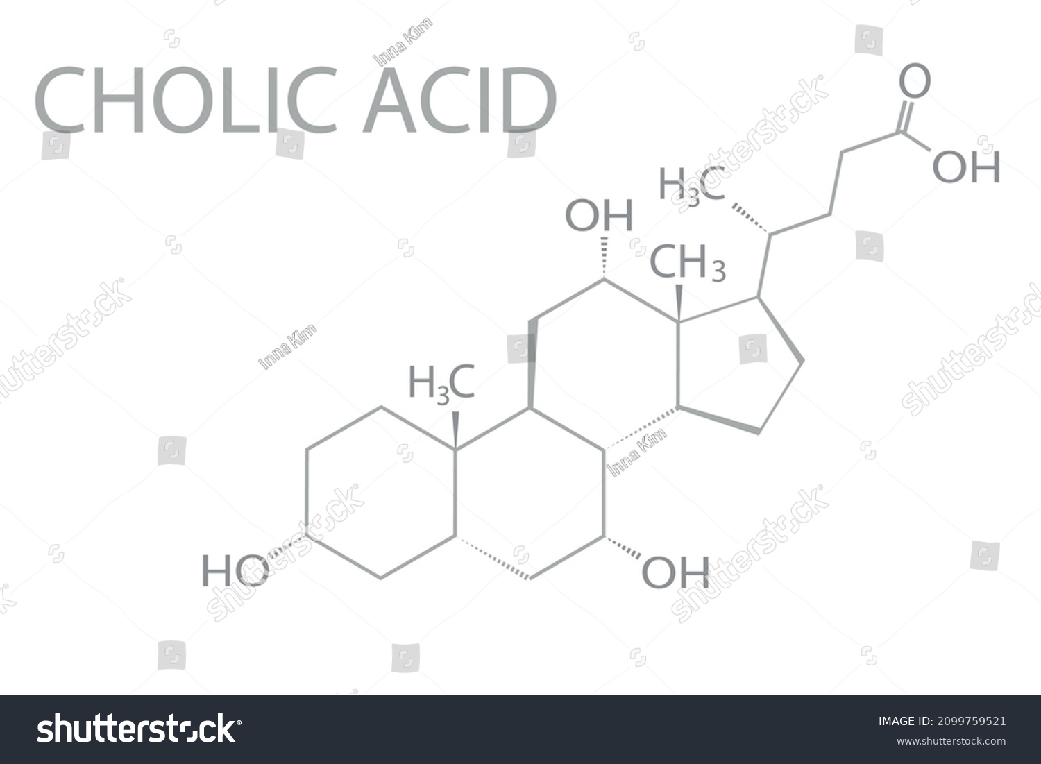 Cholic Acid Molecular Skeletal Chemical Formula Stock Vector Royalty