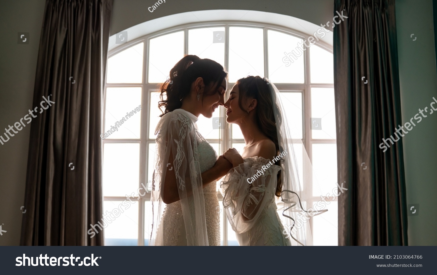 ウェディングドレスに手をつないで抱き合う美しいアジアの女性レズビアンのカップルのポートレート多様な性の平等lgbtqの誇り結婚の平等