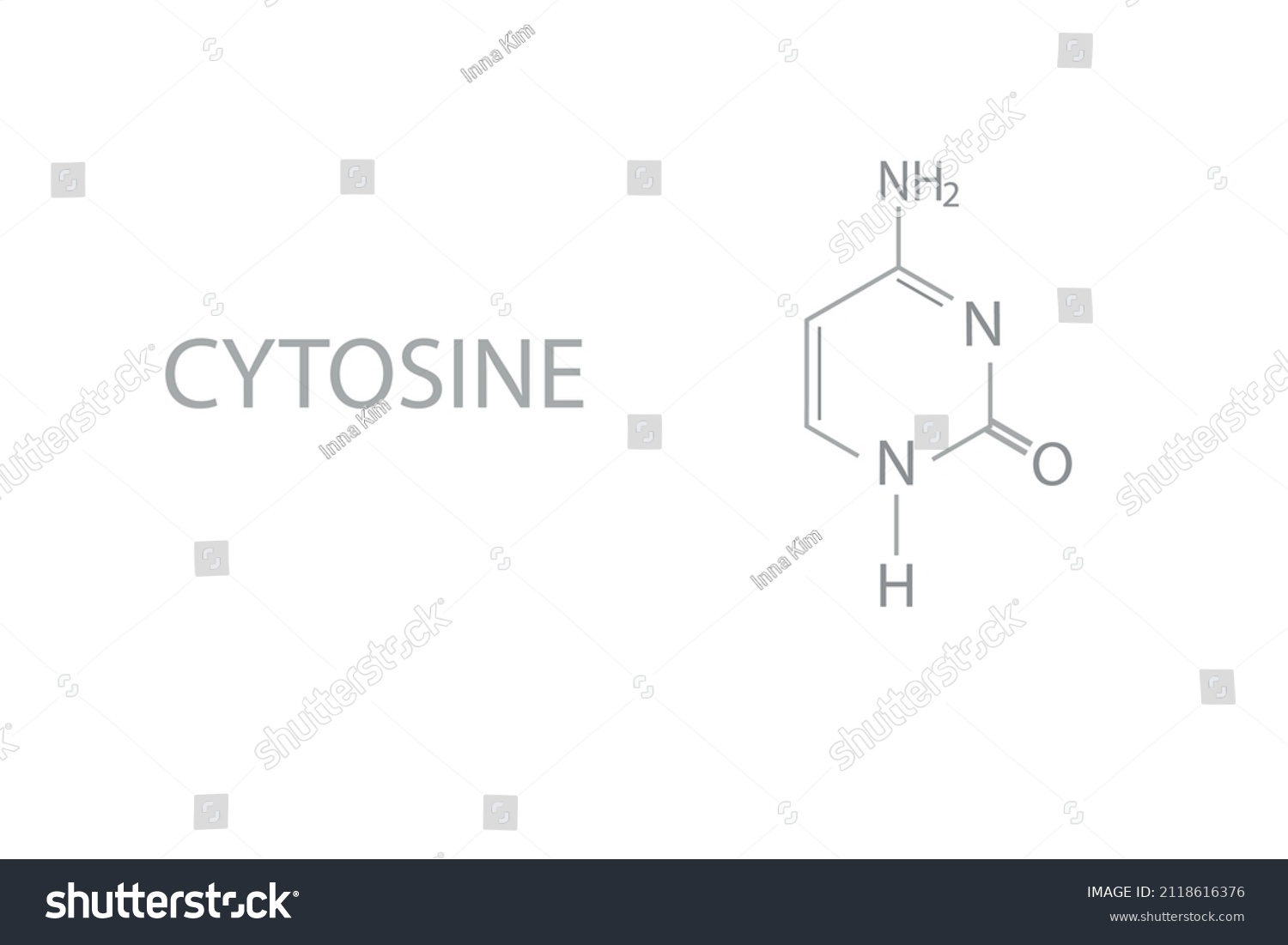 Cytosine Chemical Molecular Skeletal Formula Vector Stock Vector