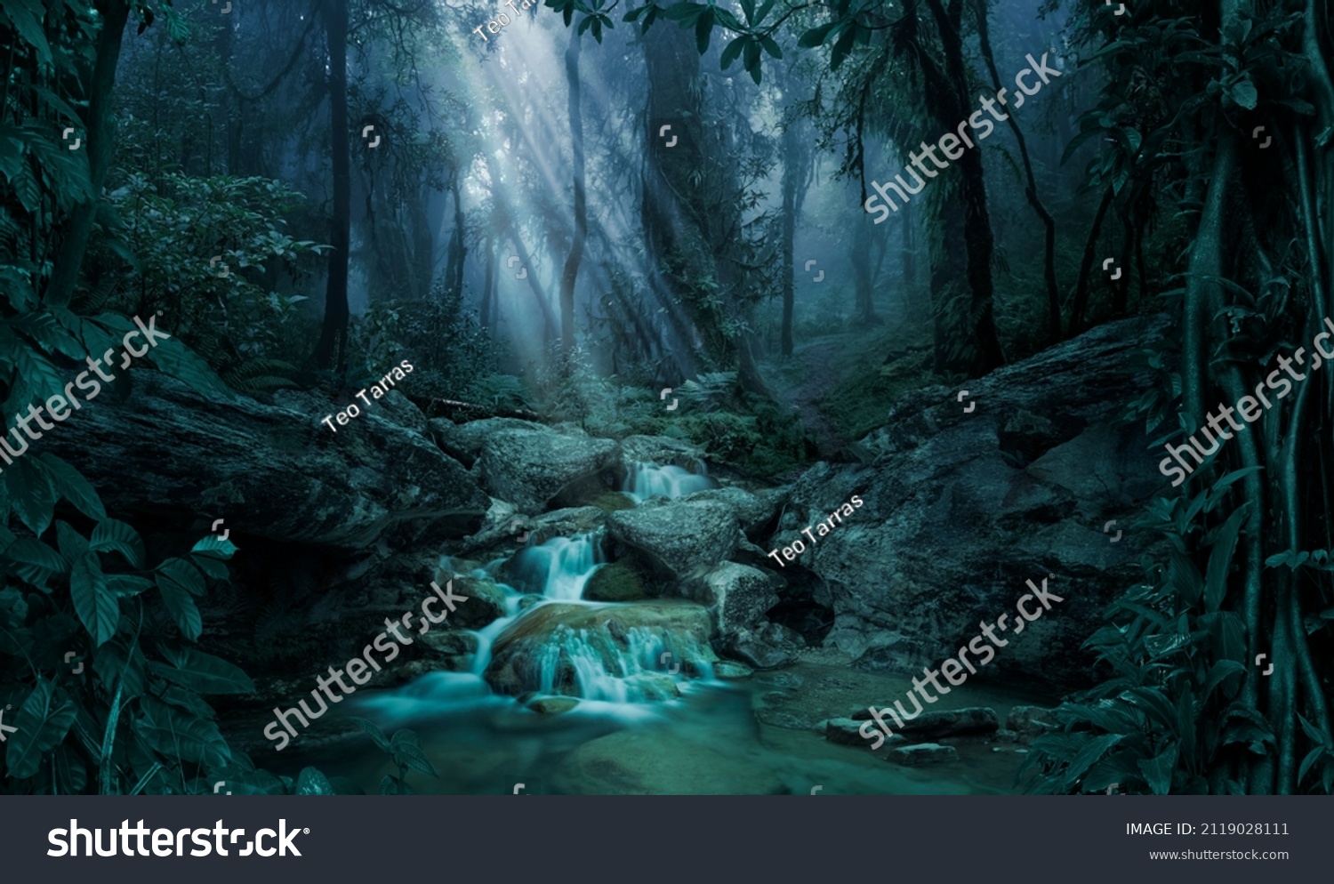 Deep Tropical Jungle Darkness Stock Photo 2119028111 Shutterstock