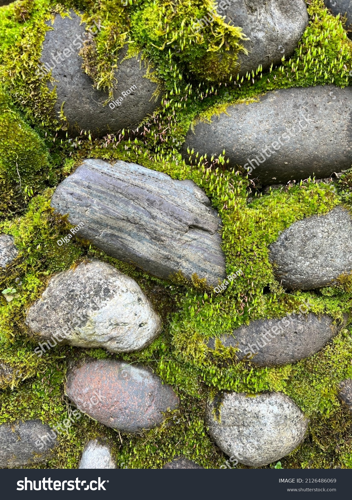 Old Mossy Stone Wall Texture Closeup Stock Photo Shutterstock