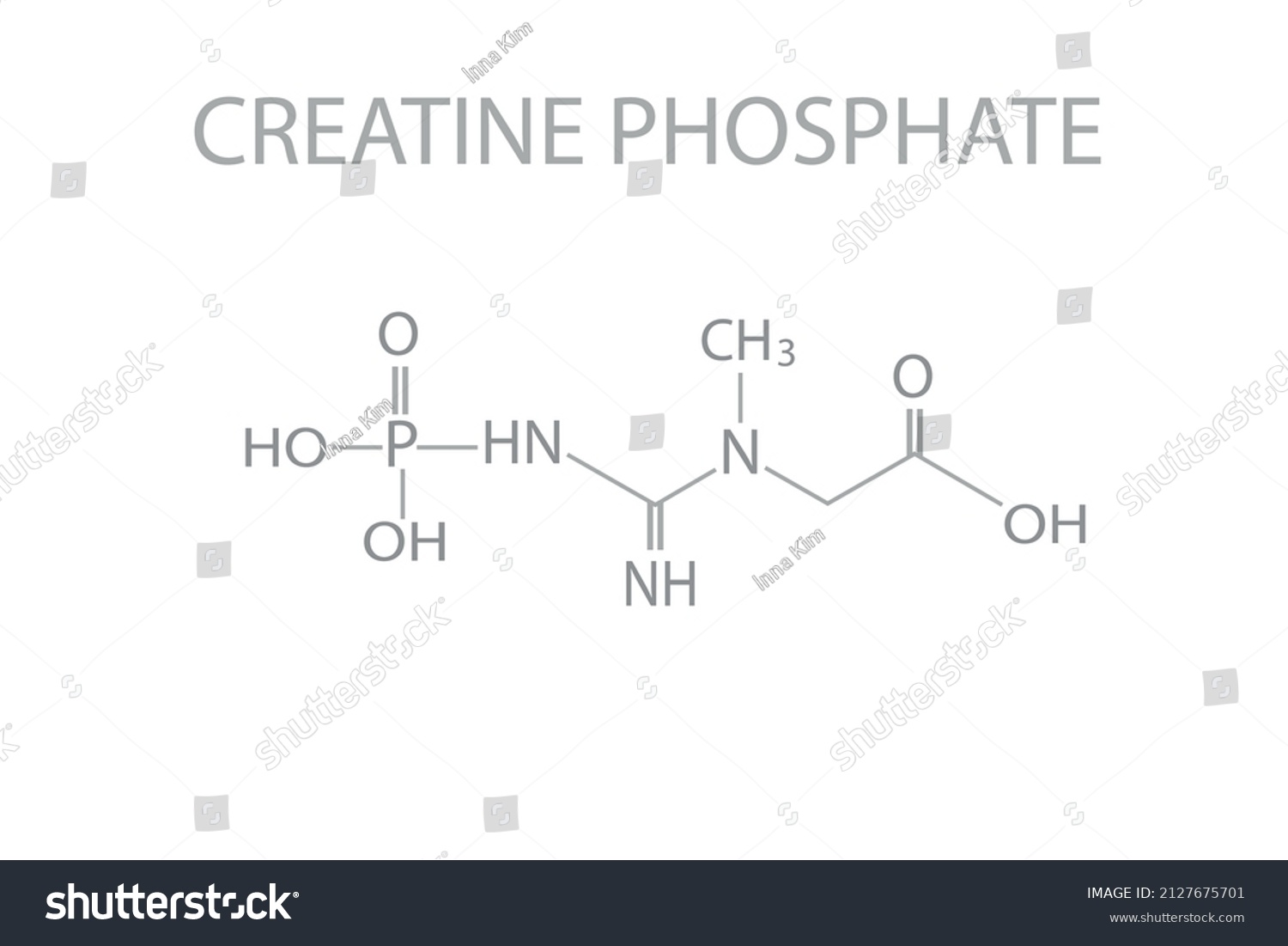 Creatine Phosphate Molecular Skeletal Chemical Formula