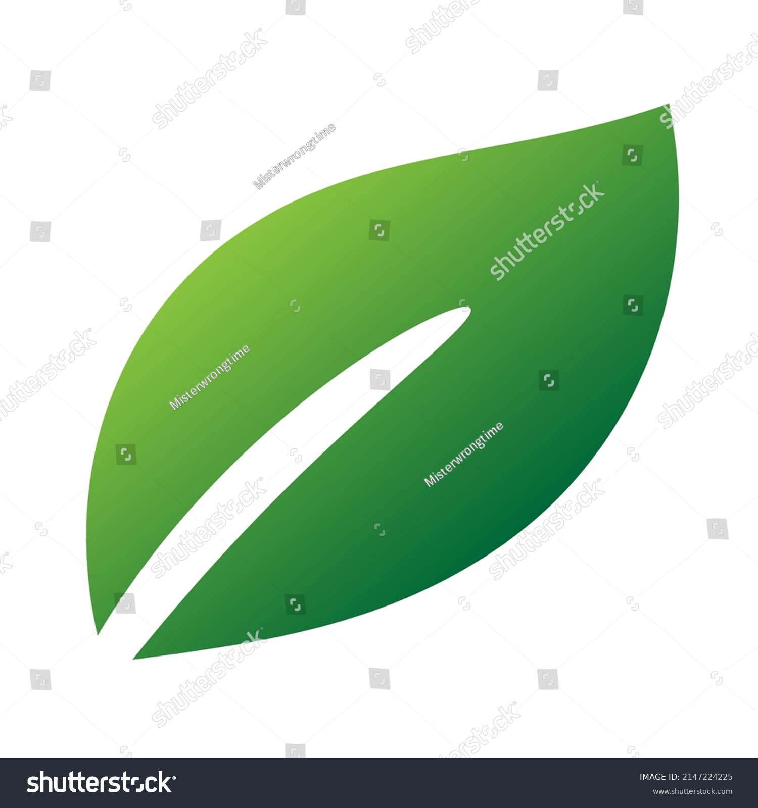 Green Leaf Isolated On White Background Stock Vector Royalty Free