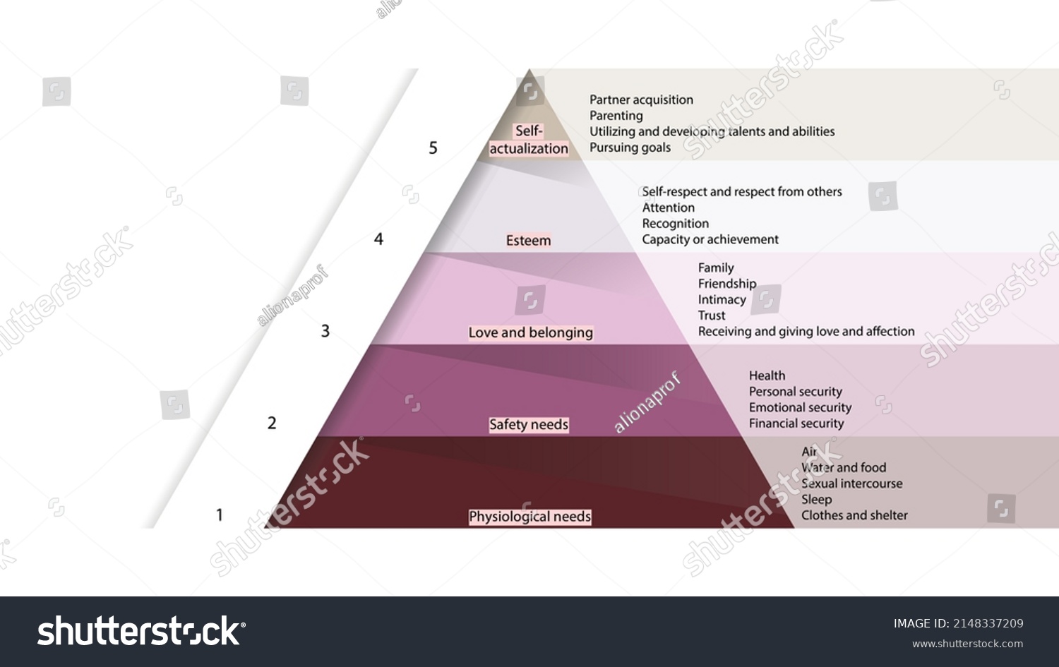 Stock Vektor Maslows Hierarchy Needs Abraham Maslow Pyramid Bez