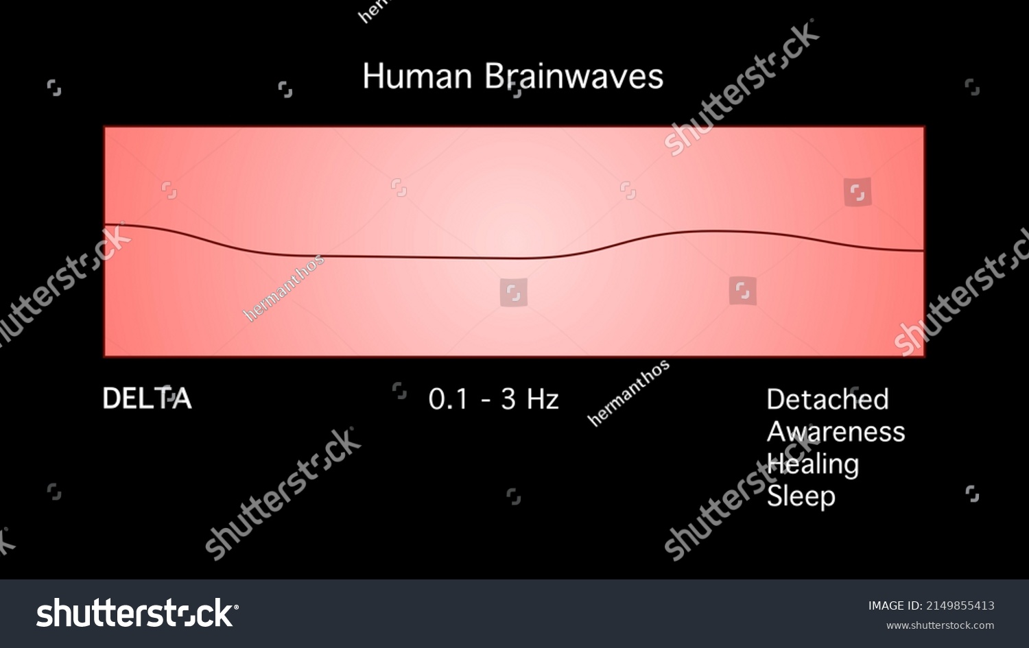 Delta Human Brain Waves Diagram Illustration Shutterstock