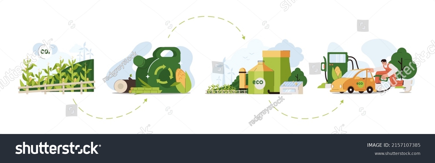 Biofuel Life Cycle Flat Vector Illustration Stock Vector Royalty Free