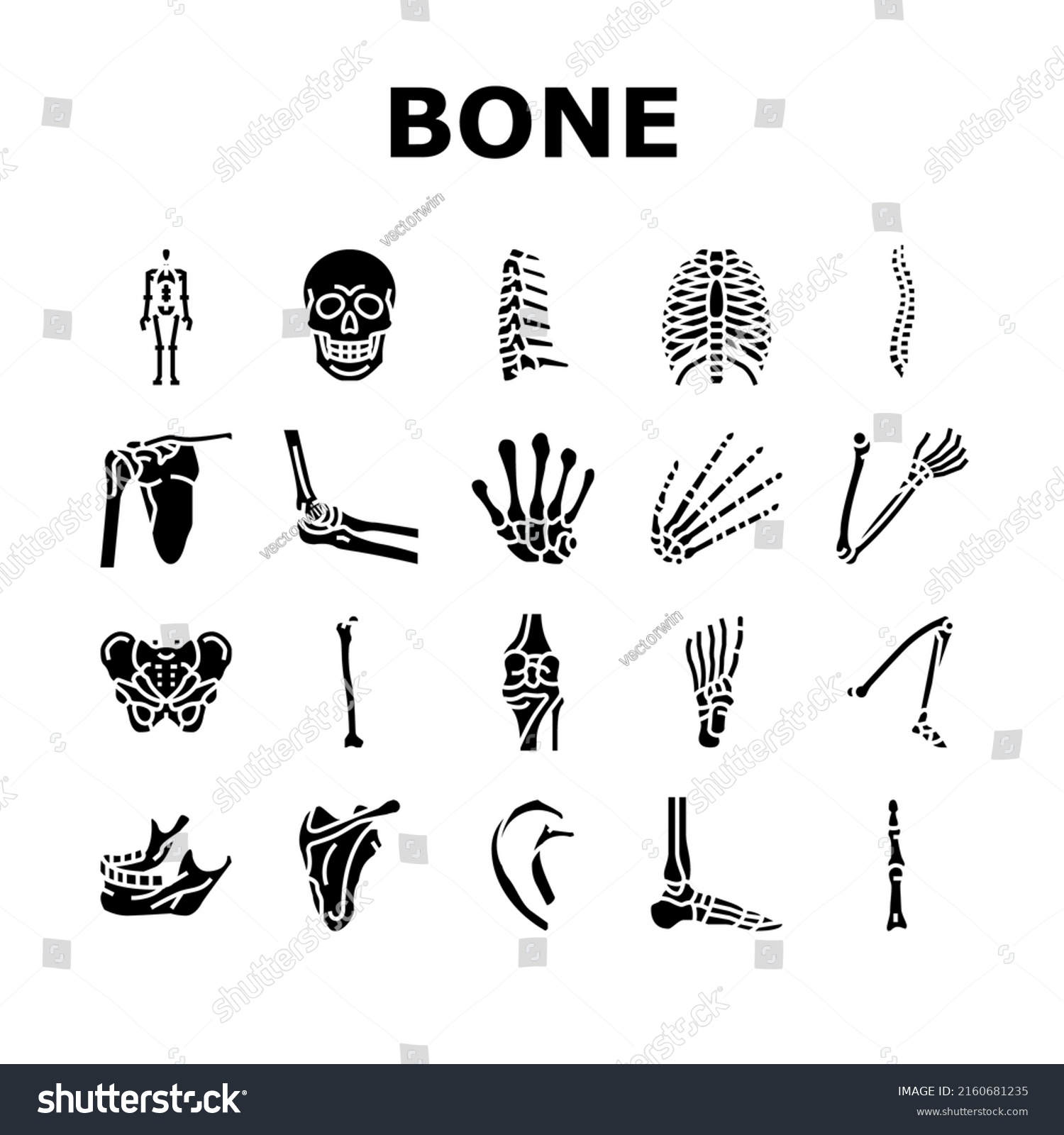 Bone Human Skeleton Structure Icons Set Stock Vector Royalty Free