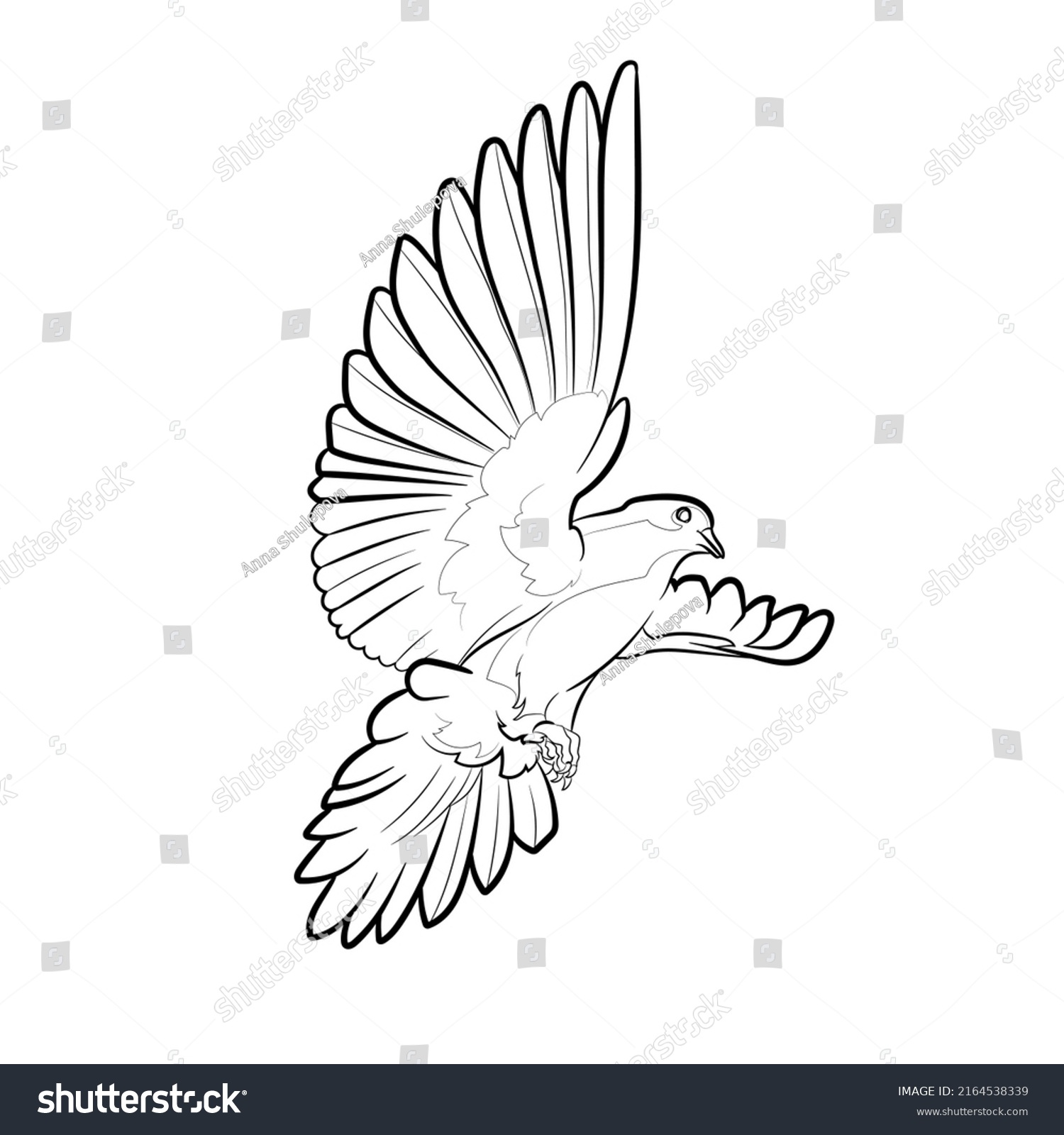 Black Outline Flying Dove On White Stock Vector Royalty Free