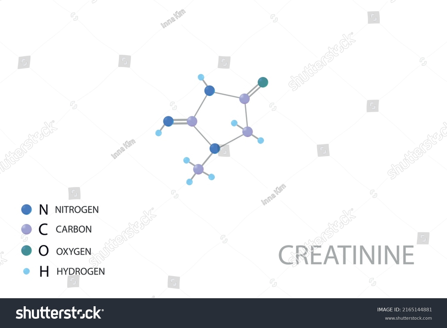 Creatinine Molecular Skeletal D Chemical Formula Stock Vector Royalty