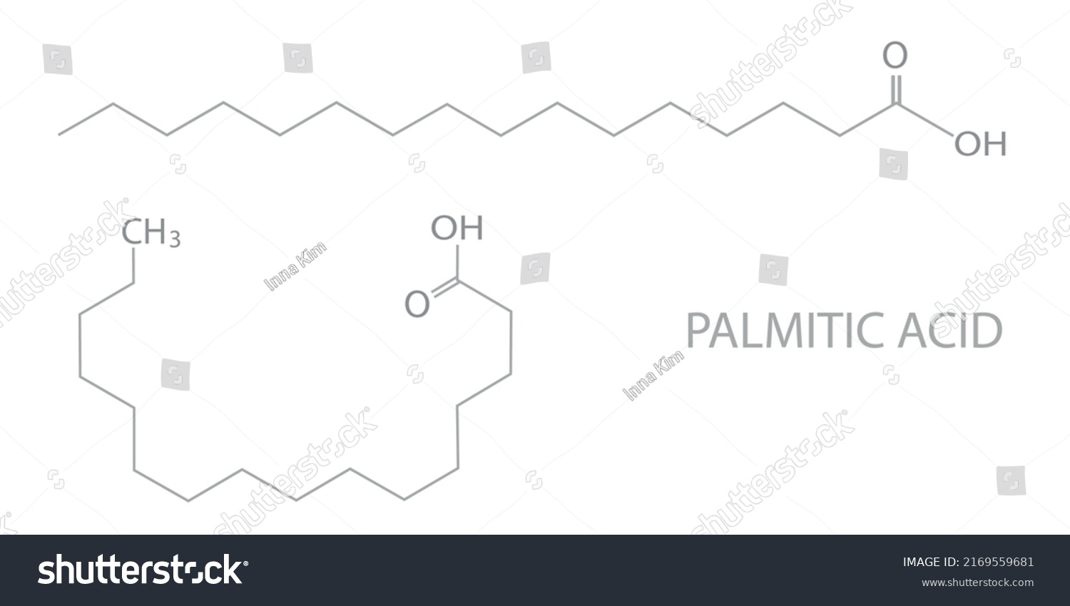 Palmitic Acid Molecular Skeletal Chemical Formula Stock Vector Royalty