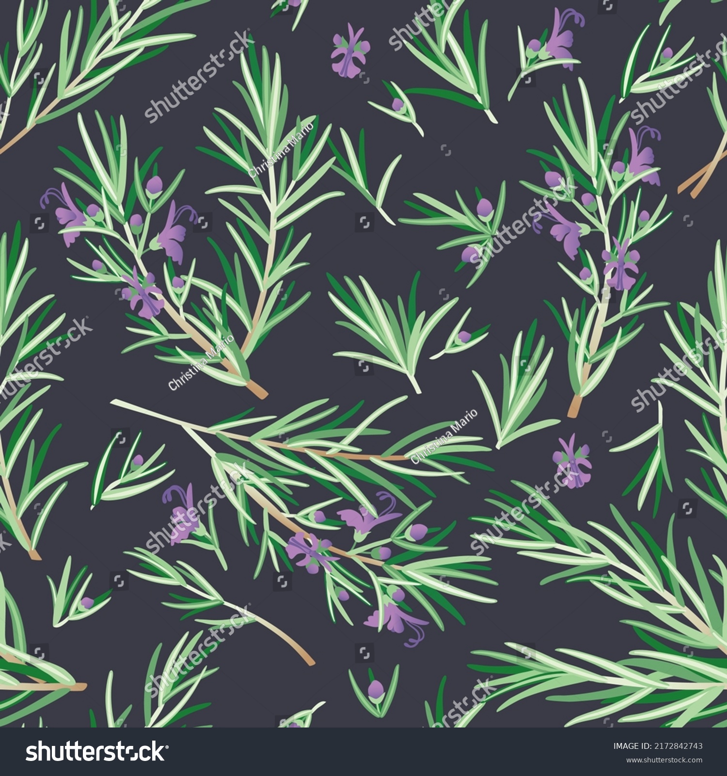 Seamless Pattern Rosemary Flowers Blossom Original Stock Vector