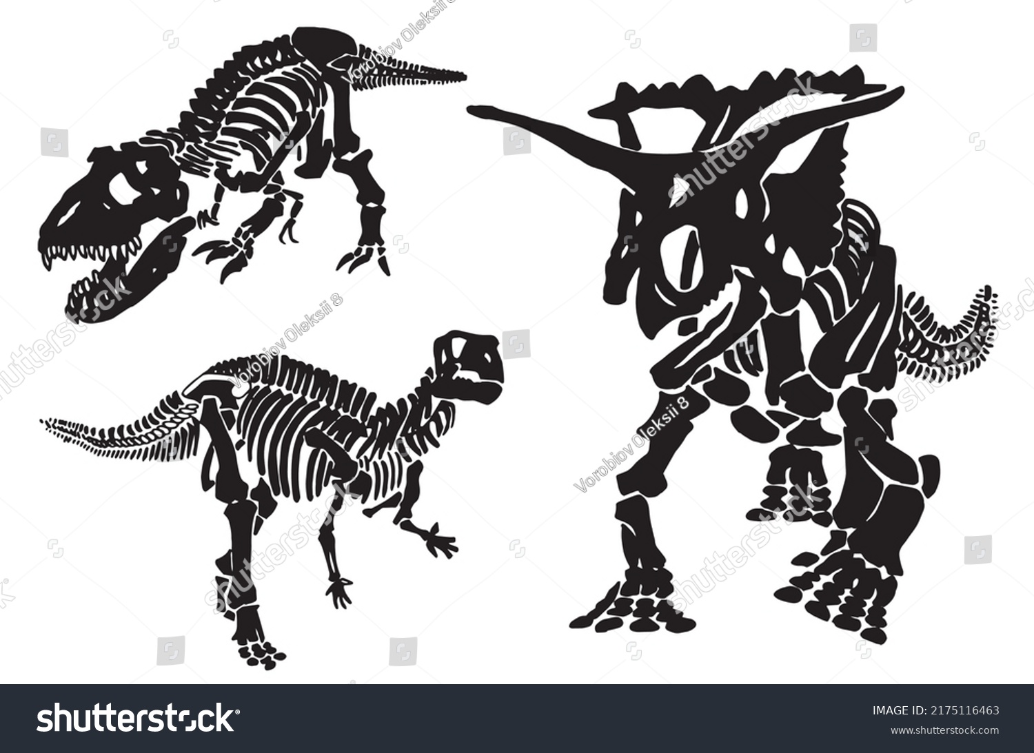 Graphical Set Dinosaur Skeletons Isolated On Stock Vector Royalty Free