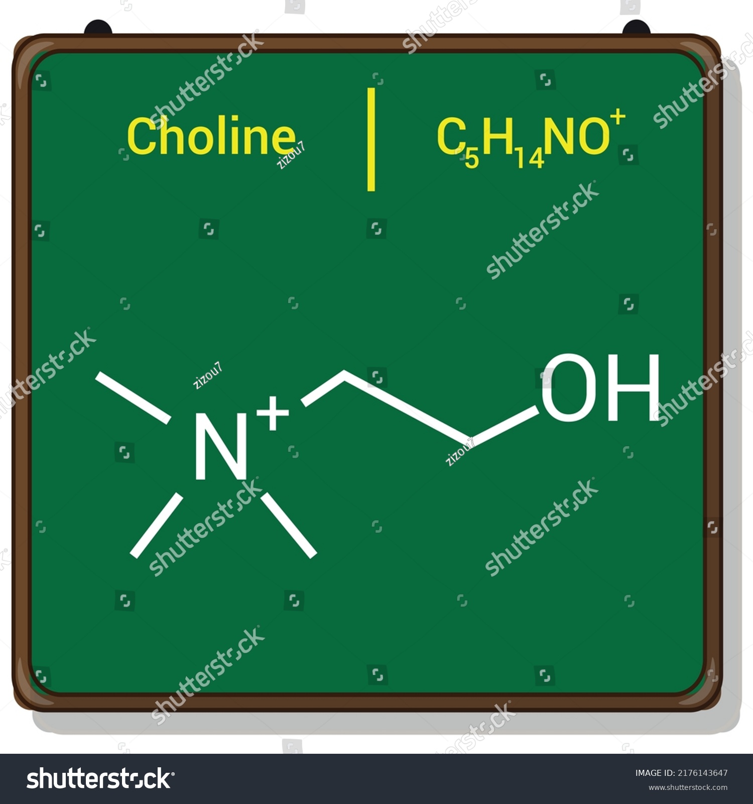 Chemical Structure Choline C H No Stock Vector Royalty Free