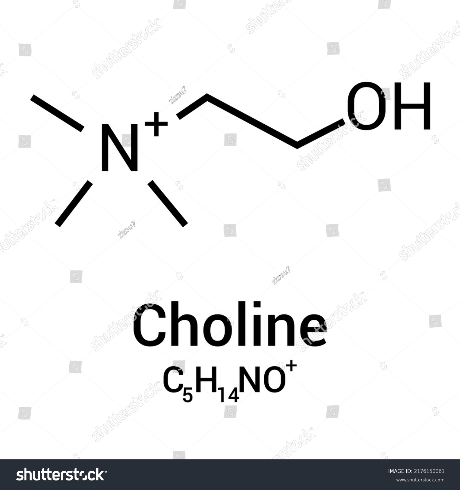 Chemical Structure Choline C H No Stock Vector Royalty Free