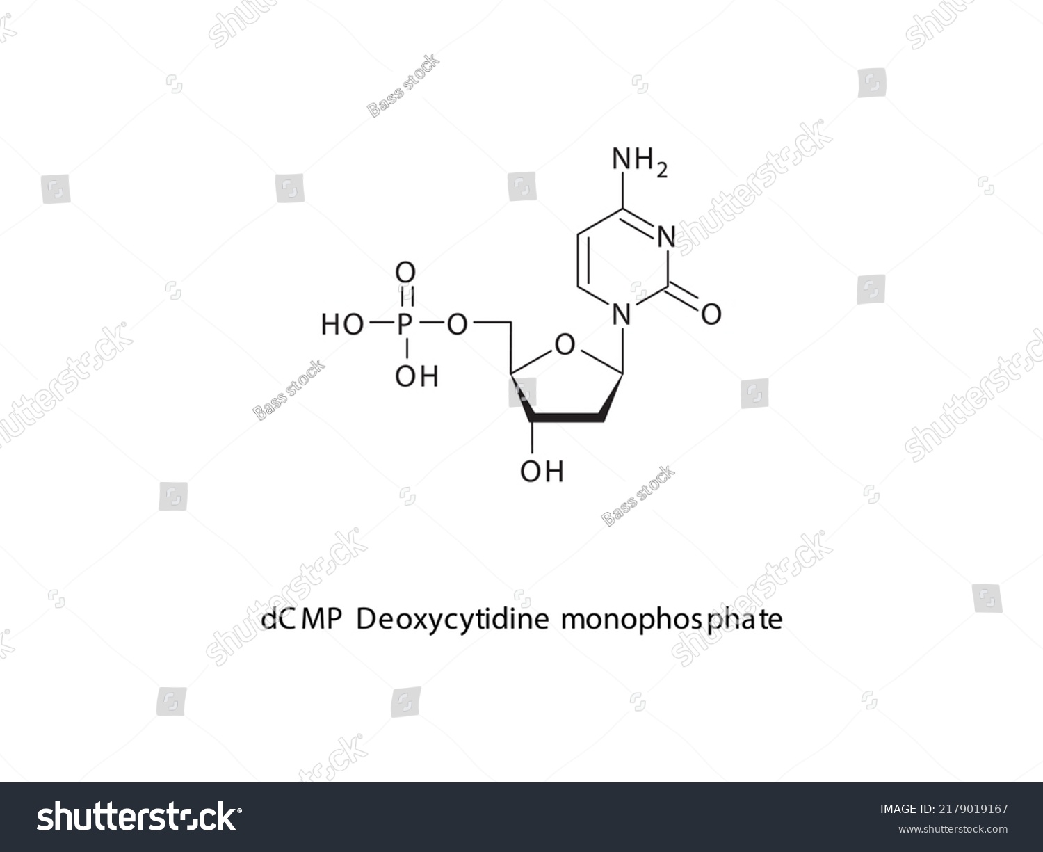 Dcmp Deoxycytidine Monophosphate Nucleotide Molecular Structure Stock