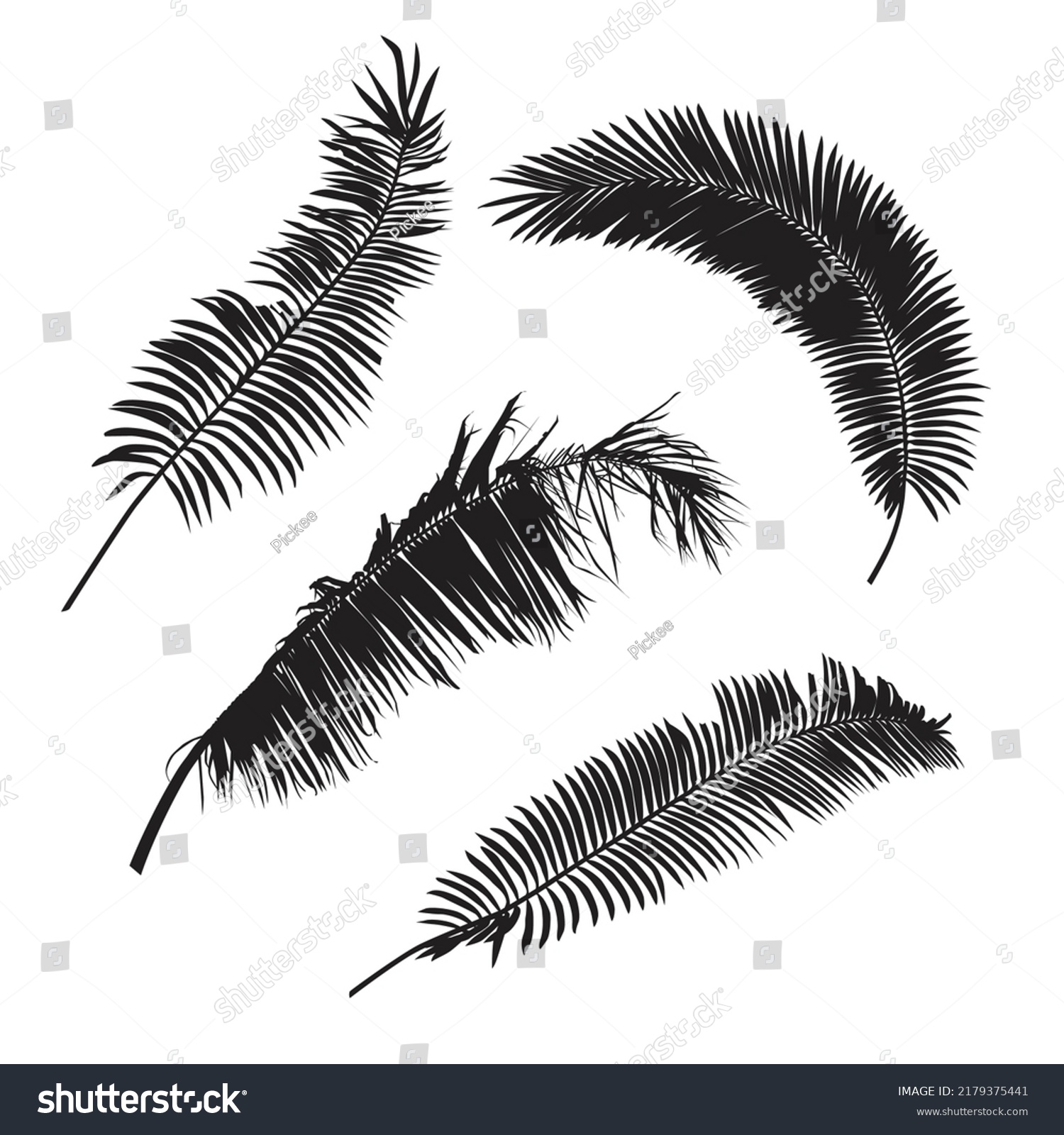 Palm Tree Tropical Leaves Realistic Silhouettes Stock Vector Royalty Free