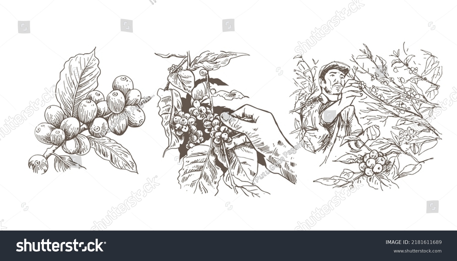 Coffee Sketch Ink Hand Drawn Set Stock Vector Royalty Free