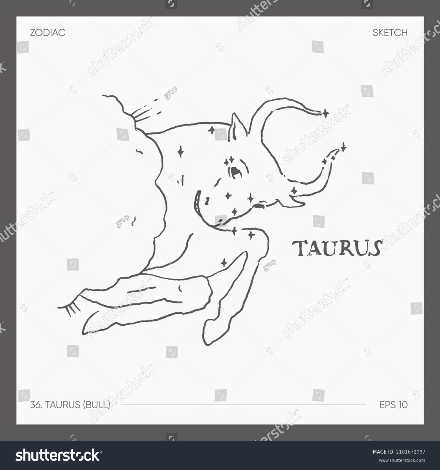 Illustration Astrological Zodiac Taurus Bull Stock Vector Royalty Free