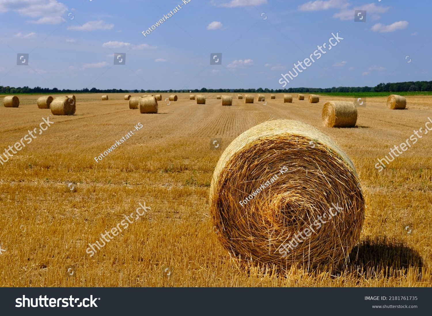 Panorama Stubble Field Round Bales Straw Stock Photo