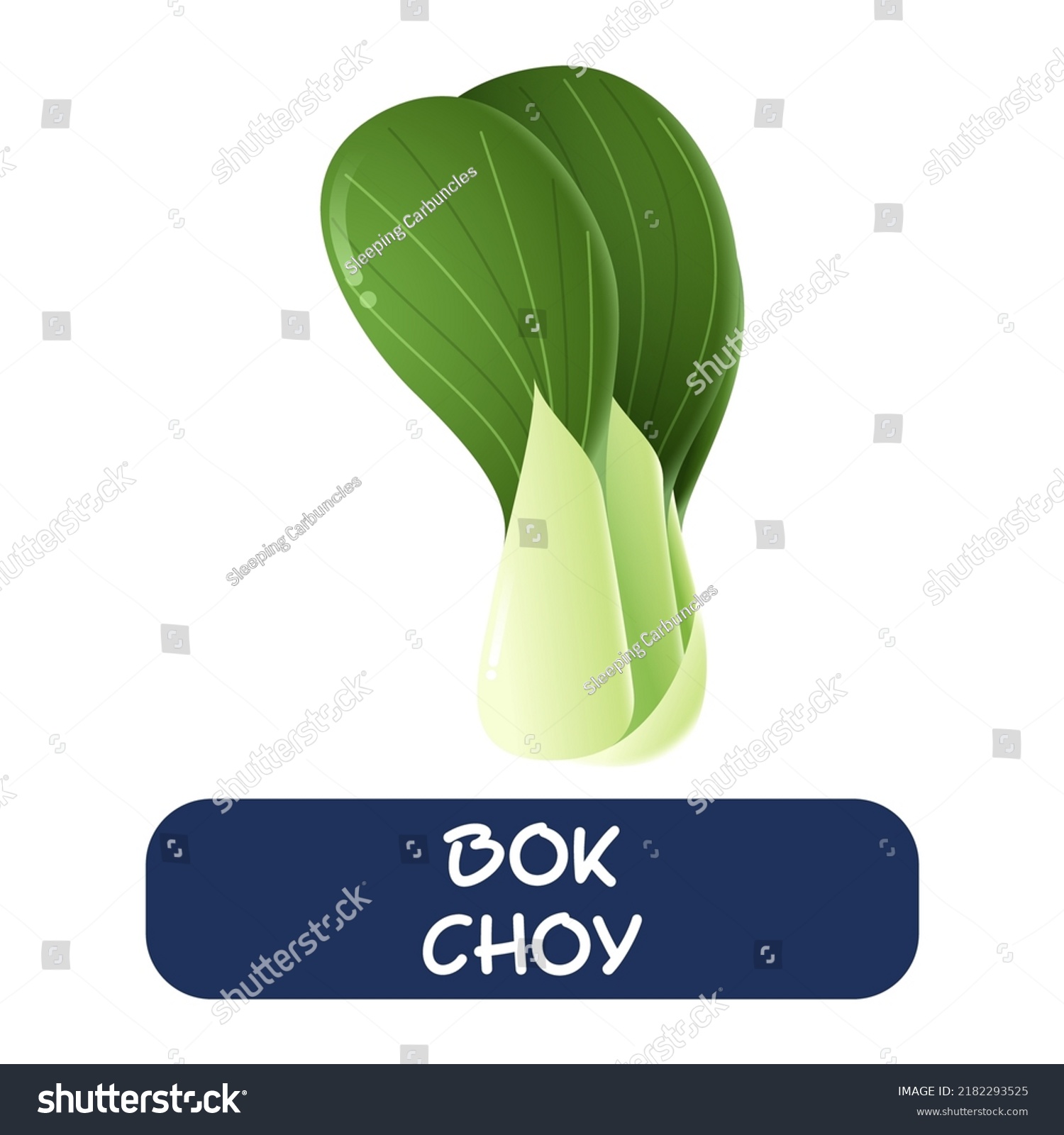 Cartoon Bok Choy Vegetables Vector Isolated 库存矢量图免版税2182293525