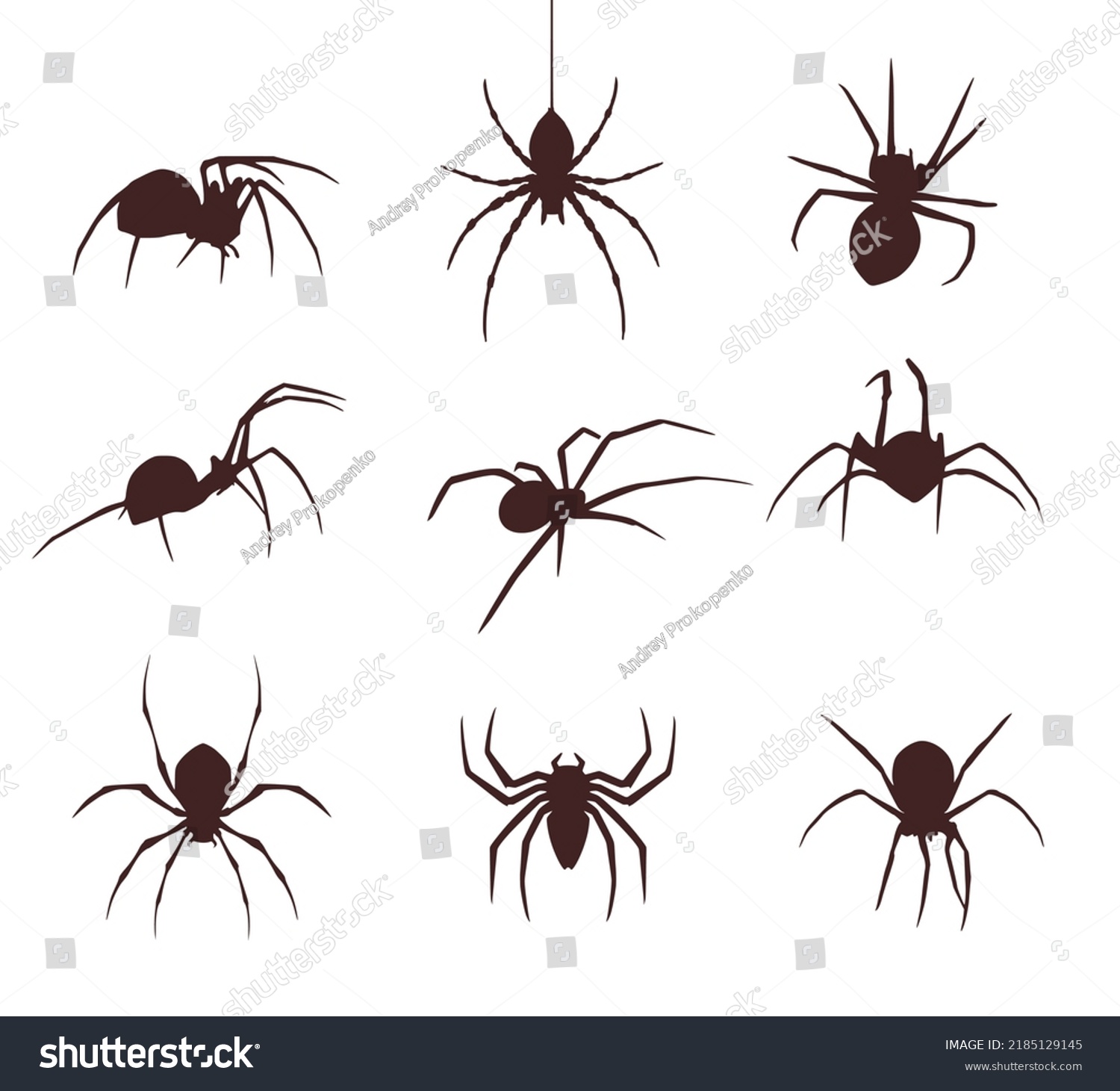 Set Nine Silhouettes Spiders Stock Vector Royalty Free 2185129145