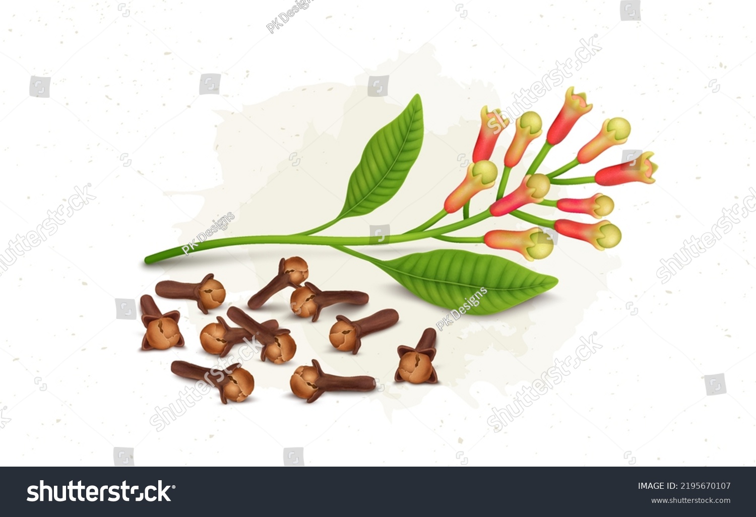 Dried Brown Clove Clove Plant Vector Stock Vector Royalty Free