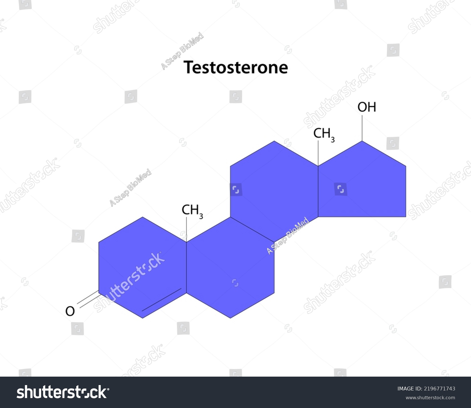 Testosterone Main Male Sex Hormone Structural Stock Vector Royalty