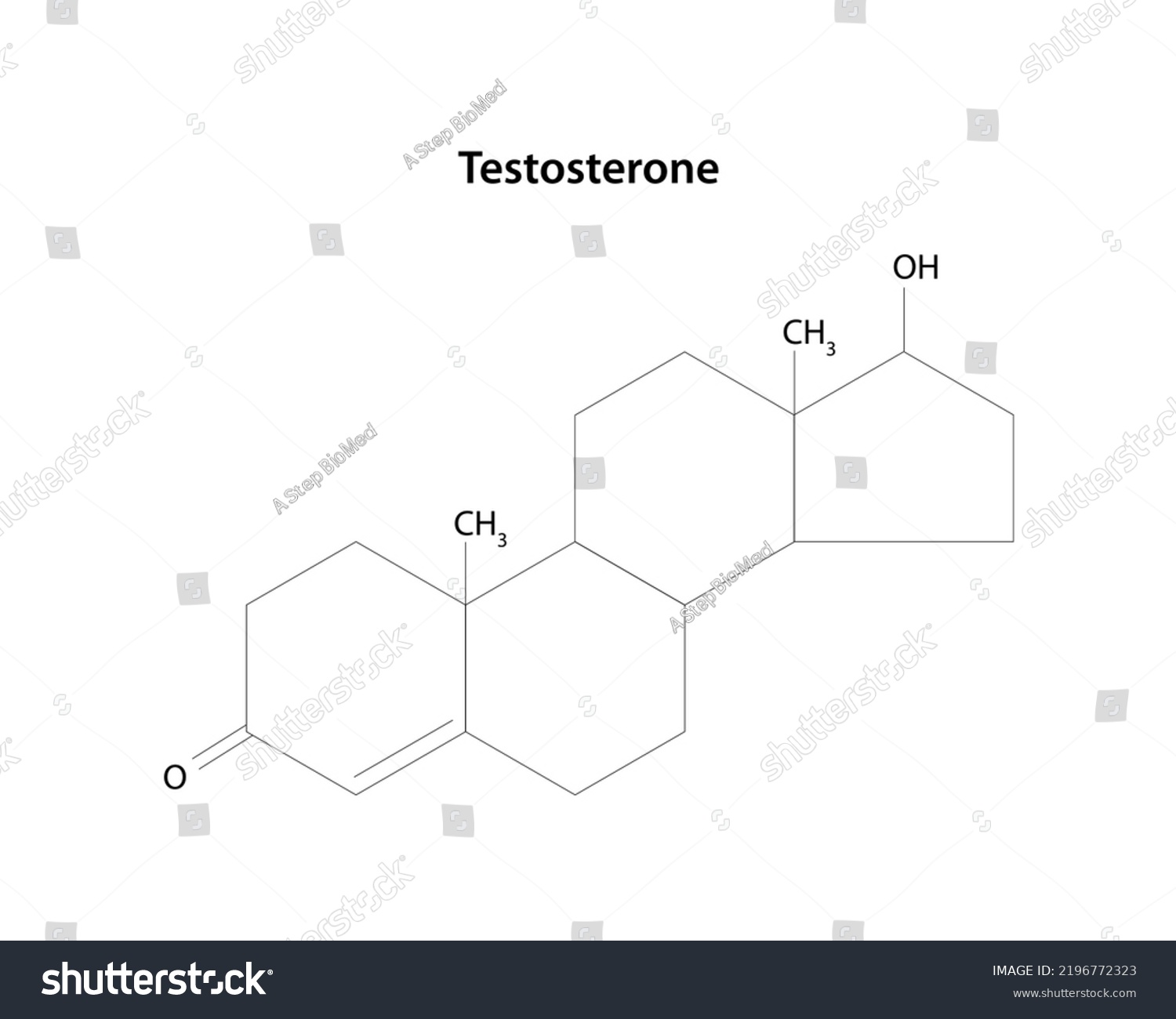 Testosterone Main Male Sex Hormone Structural Stock Vector Royalty