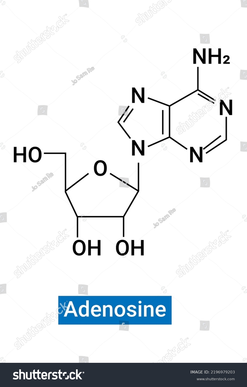 Adenosine Purine Nucleoside Base Most Commonly Stock Vector Royalty