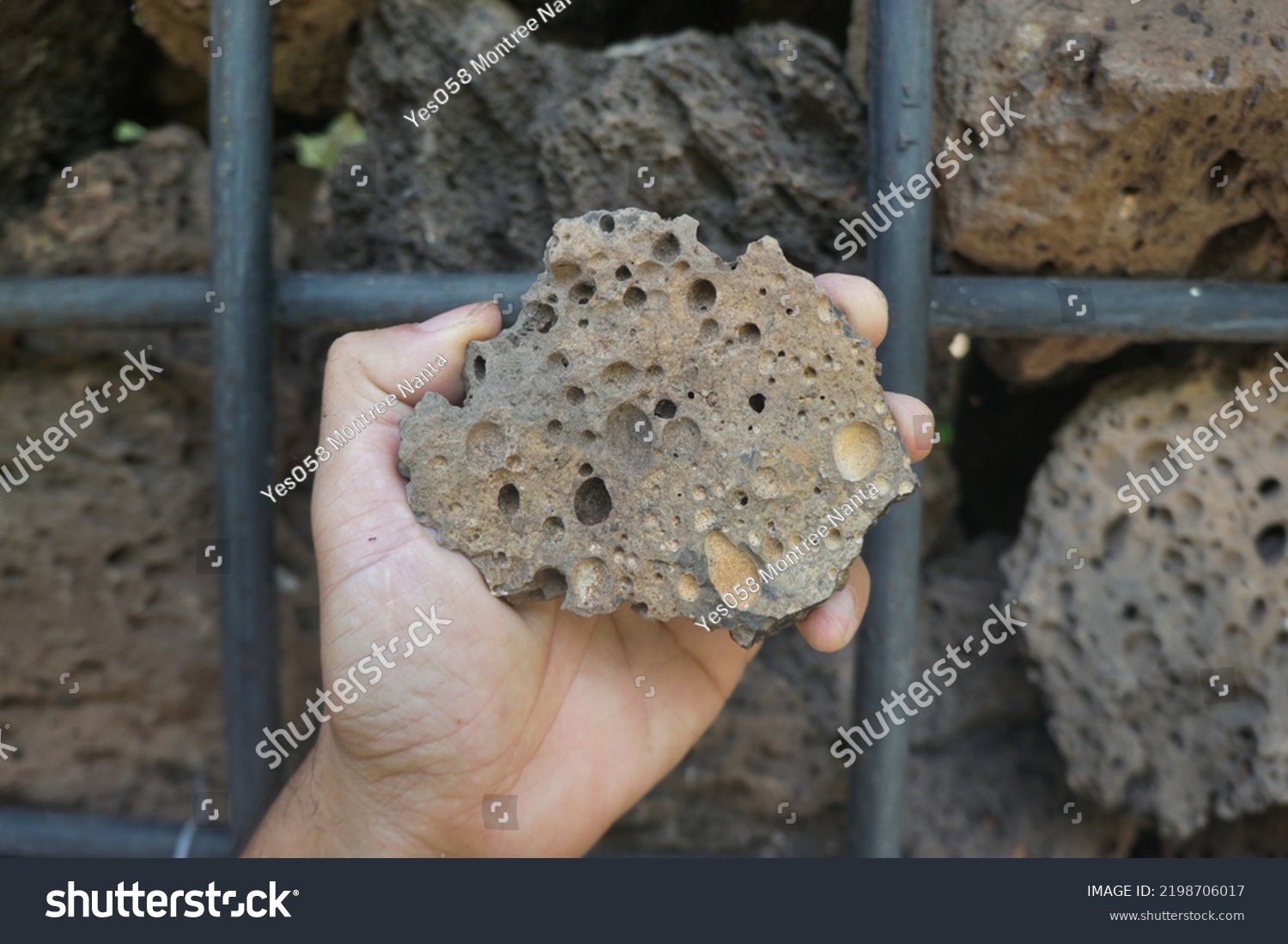 Hand Holding Raw Basalt Extrusive Igneous Stock Photo