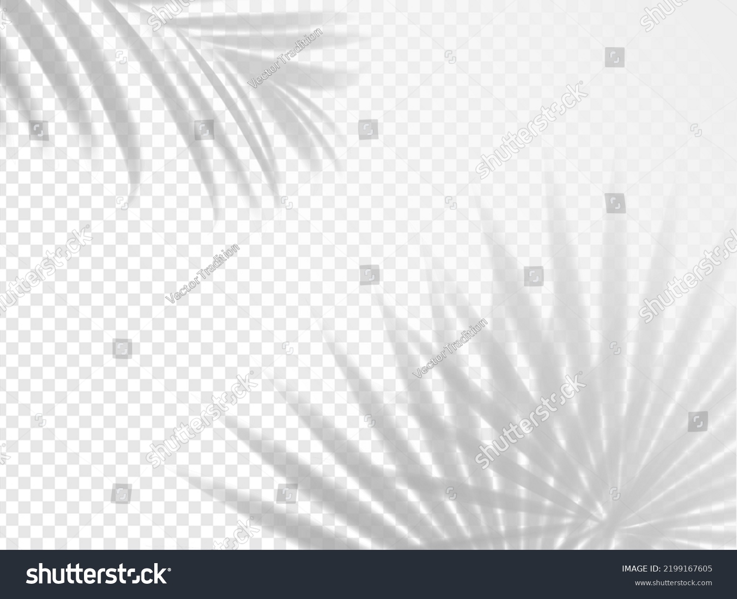 Palm Leaves Shadow Background Overlay Vector Stock Vector Royalty Free