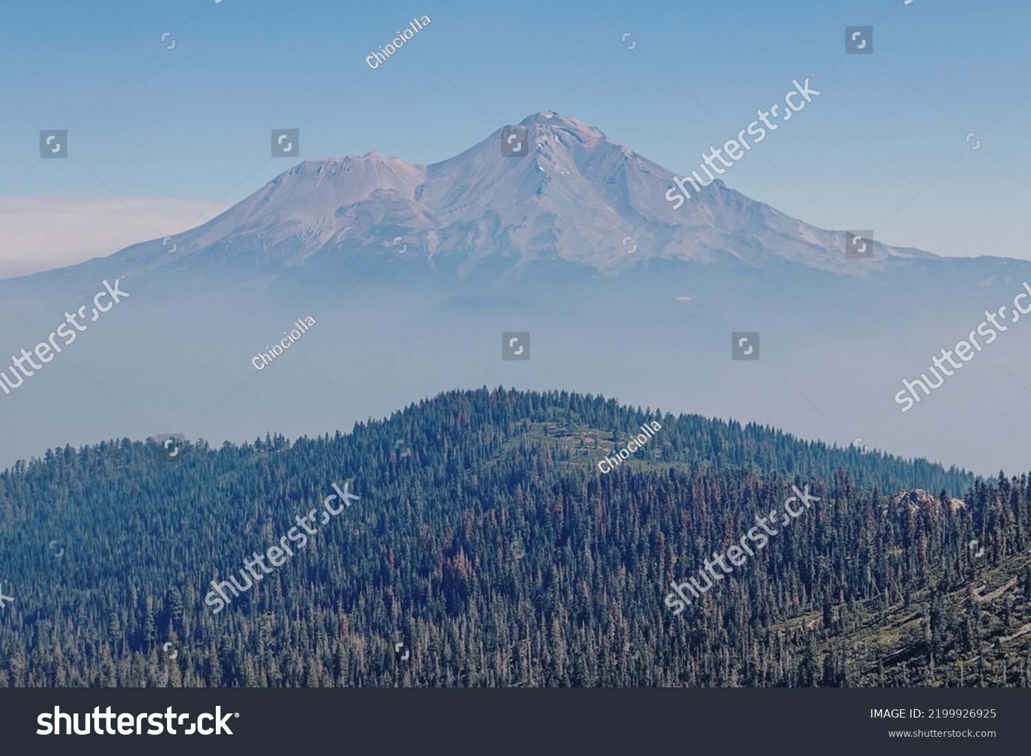 Green Forest Mount Shasta No Snow Stock Photo Shutterstock