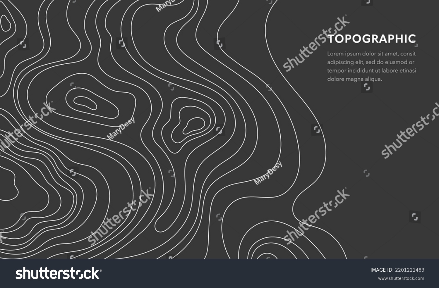 Topographic Map Vector Illustration Topographic Geographic Stock Vector