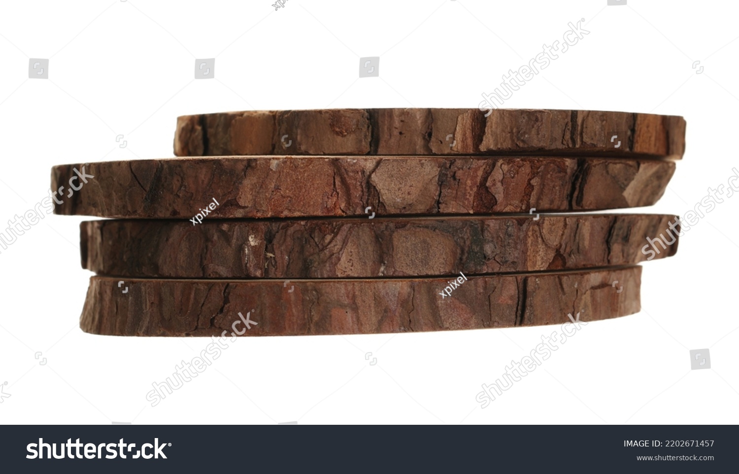 Cross Section Tree Trunks Stumps Isolated Stock Photo 2202671457