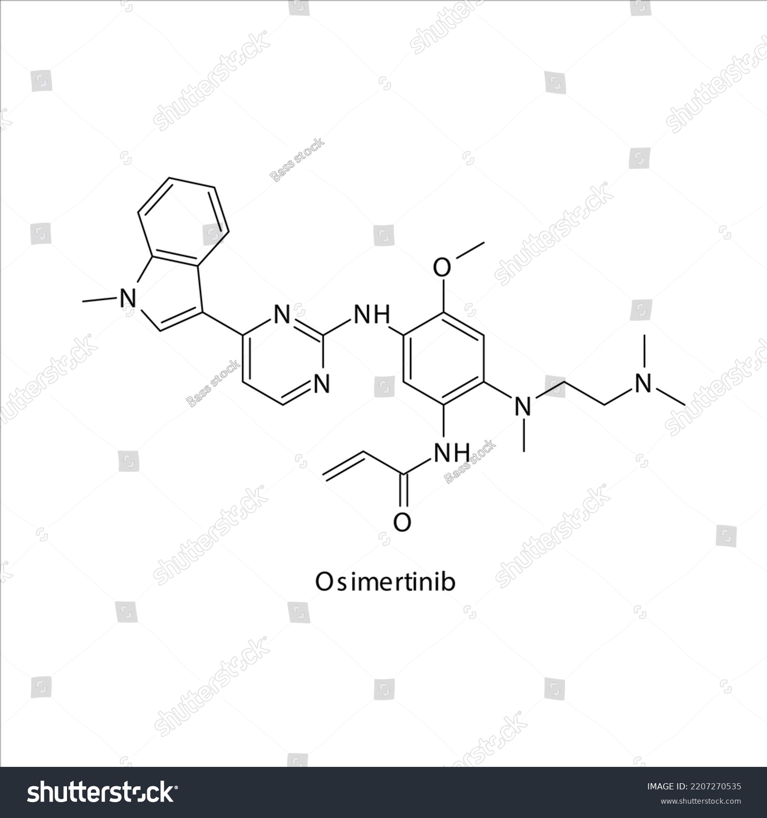 Osimertinib Molecule Flat Skeletal Structure Tyrosine Stock Vector