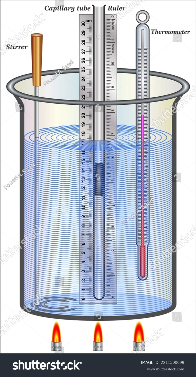 Charles Law Apparatus Consisting Capillary Tube Stock Vector Royalty