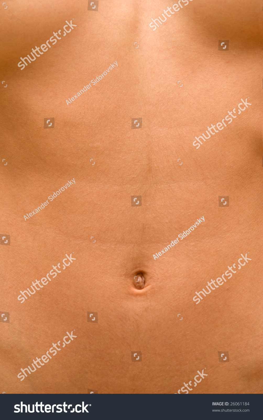 Naked Female Torso Filling Entire Frame Stock Photo Shutterstock