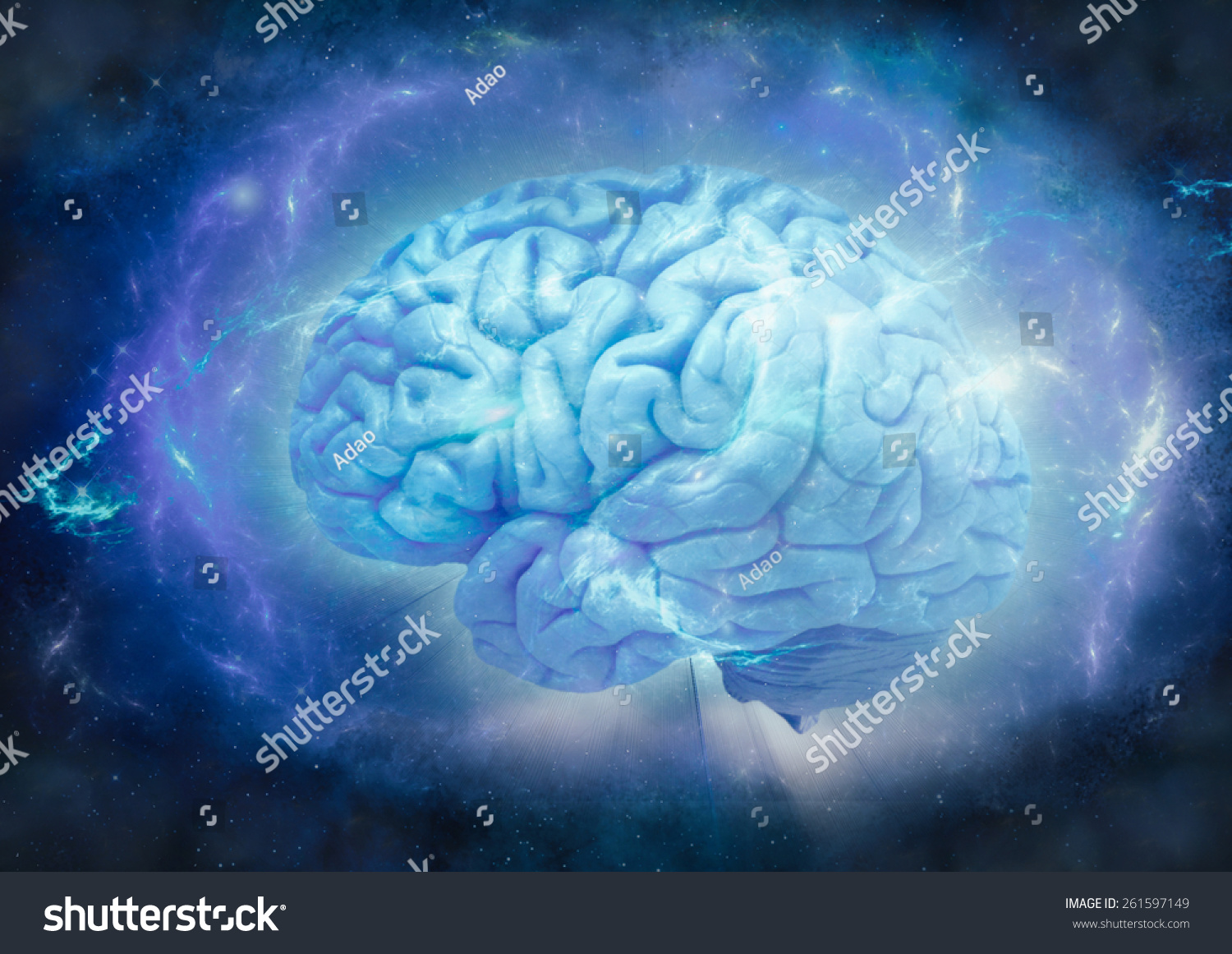 Human Brain Wrapped Blue Energy Field Stock Photo 261597149 Shutterstock