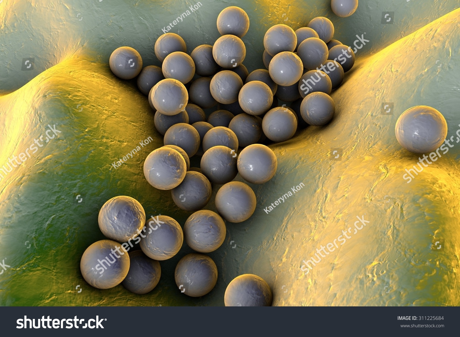 Bacteria Staphylococcus Aureus On Surface Skin Stock Illustration