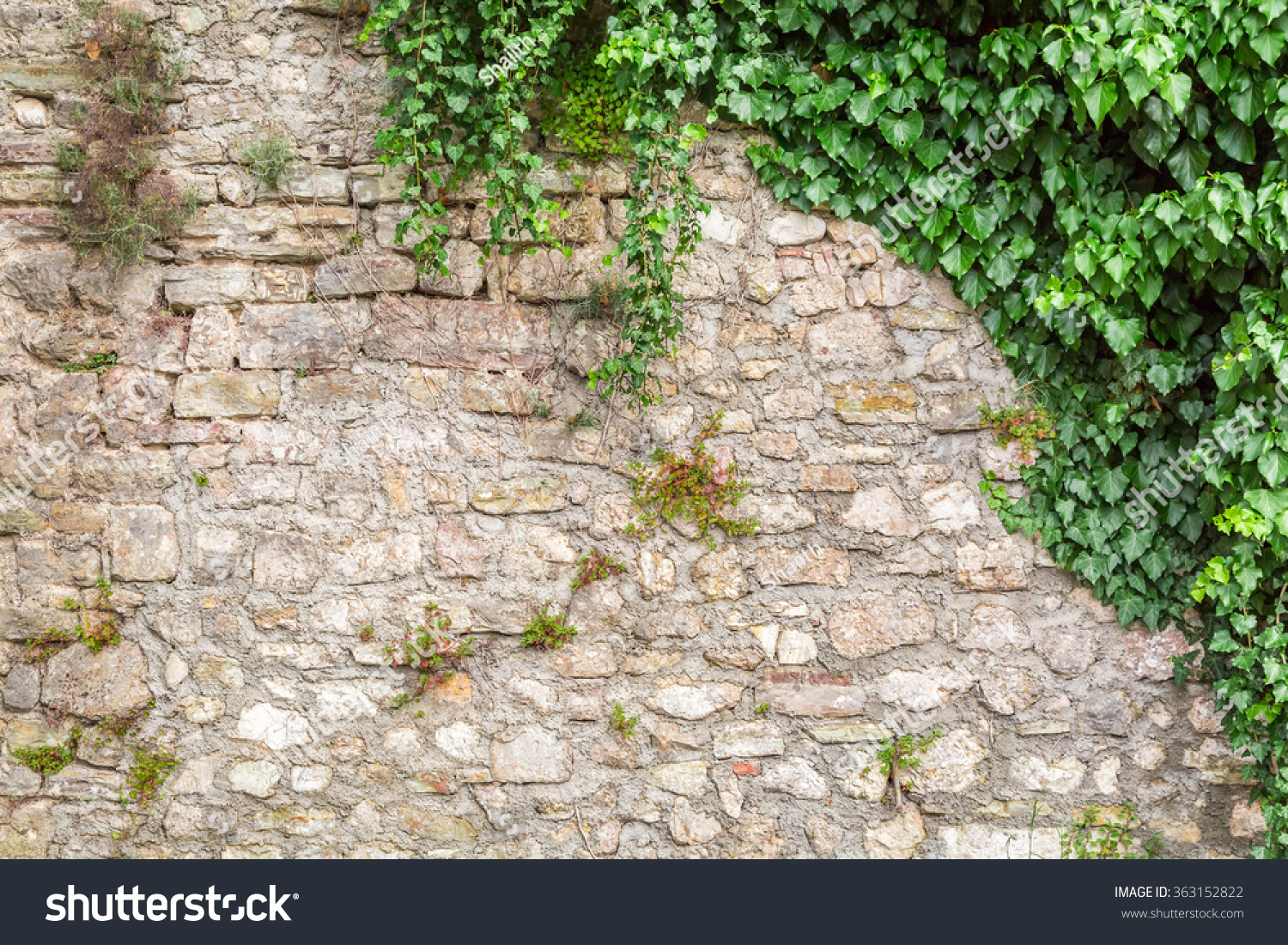 763 881 Green Stone Wall Images Stock Photos Vectors Shutterstock