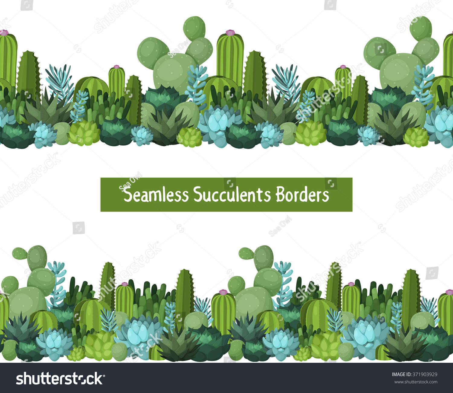 Cactus Other Succulents Seamless Borders Vector Vector De Stock Libre